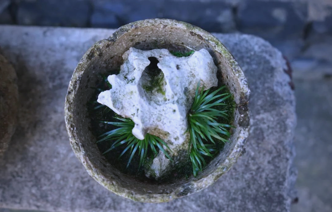 紧急通知：蒲友交流论坛怎么找资源最新地址与安全使用方法