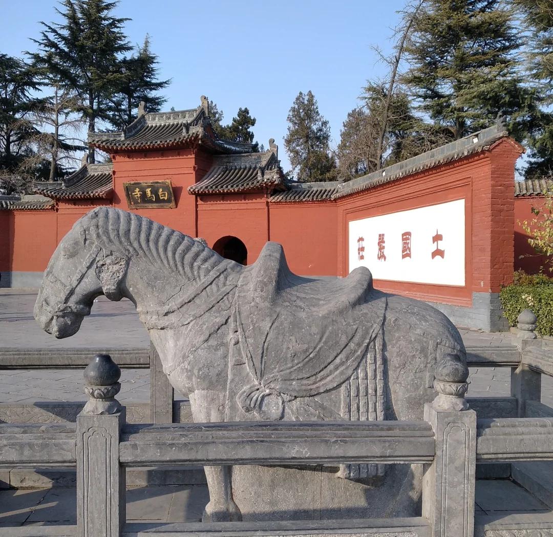 700元3小时不限次品茶全攻略详解，玩转白马寺及周边景点