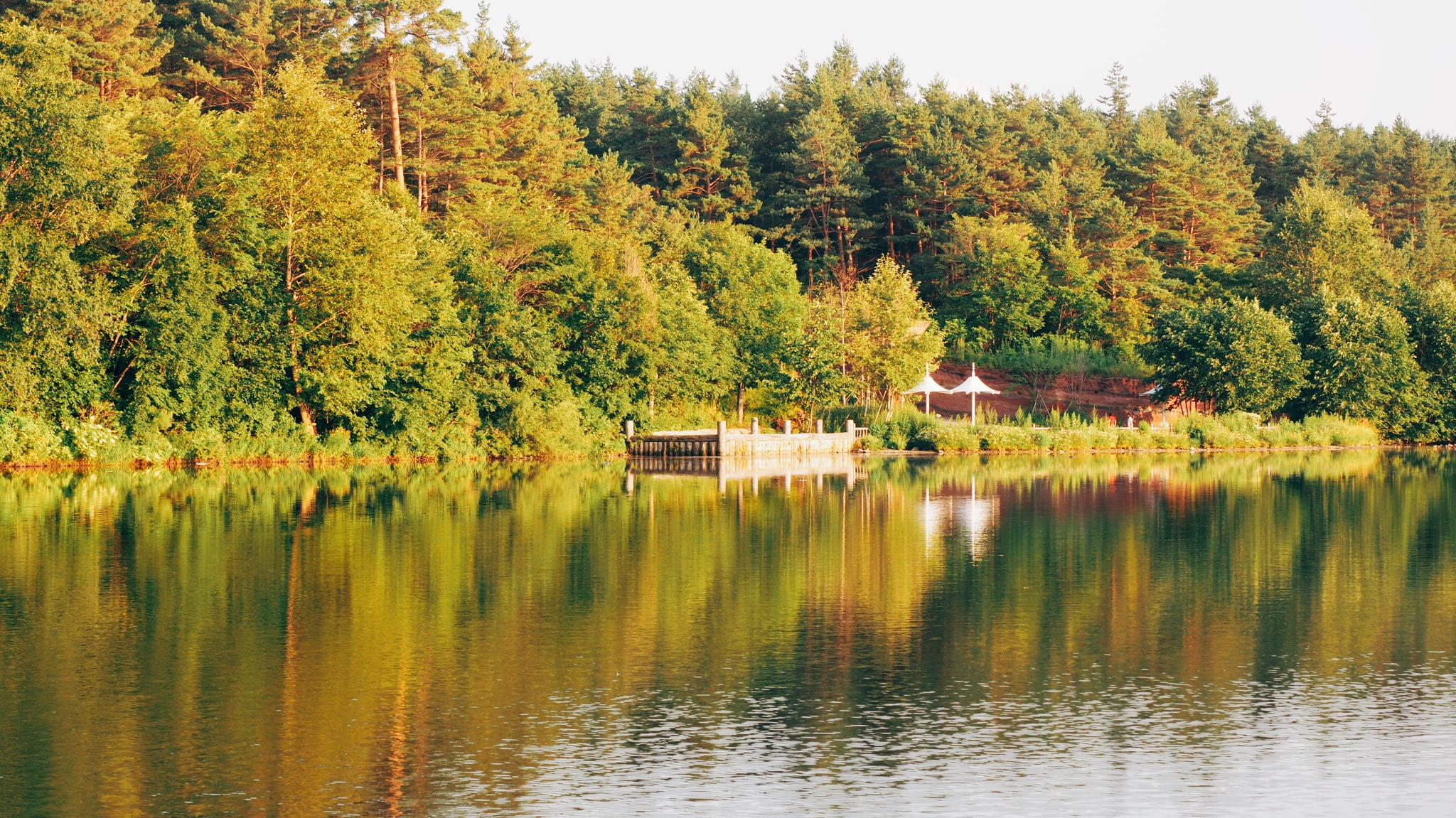 真相揭秘！下雨天城中村街口等客的内幕揭秘