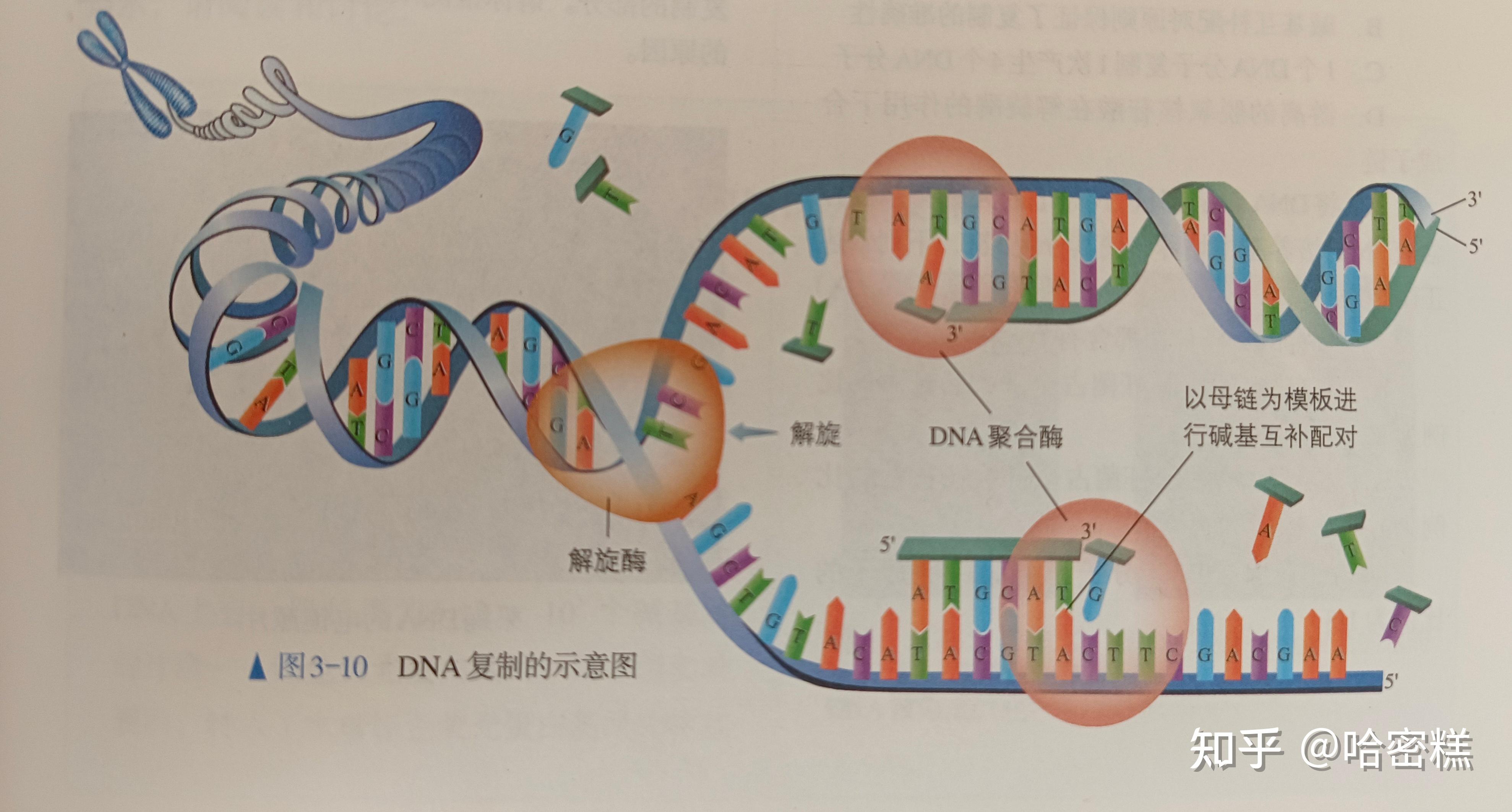 SP技术深度解析,科普指南与前沿应用