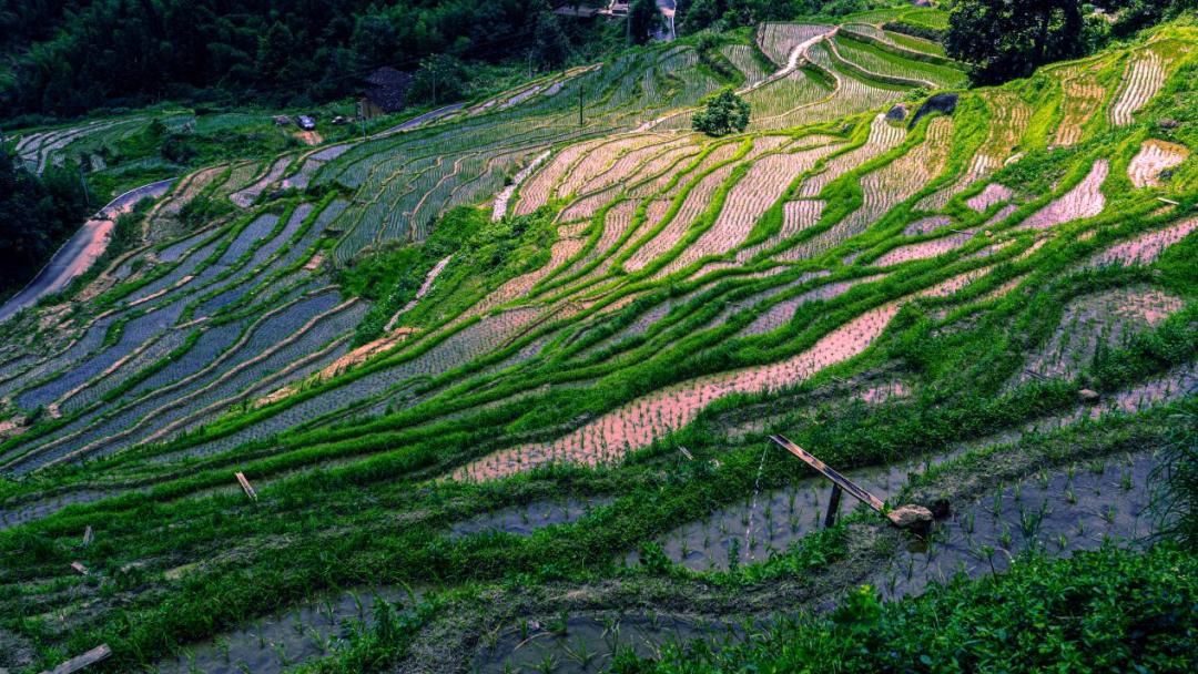 浏阳邮电路妹子搬哪里去了？最新调查