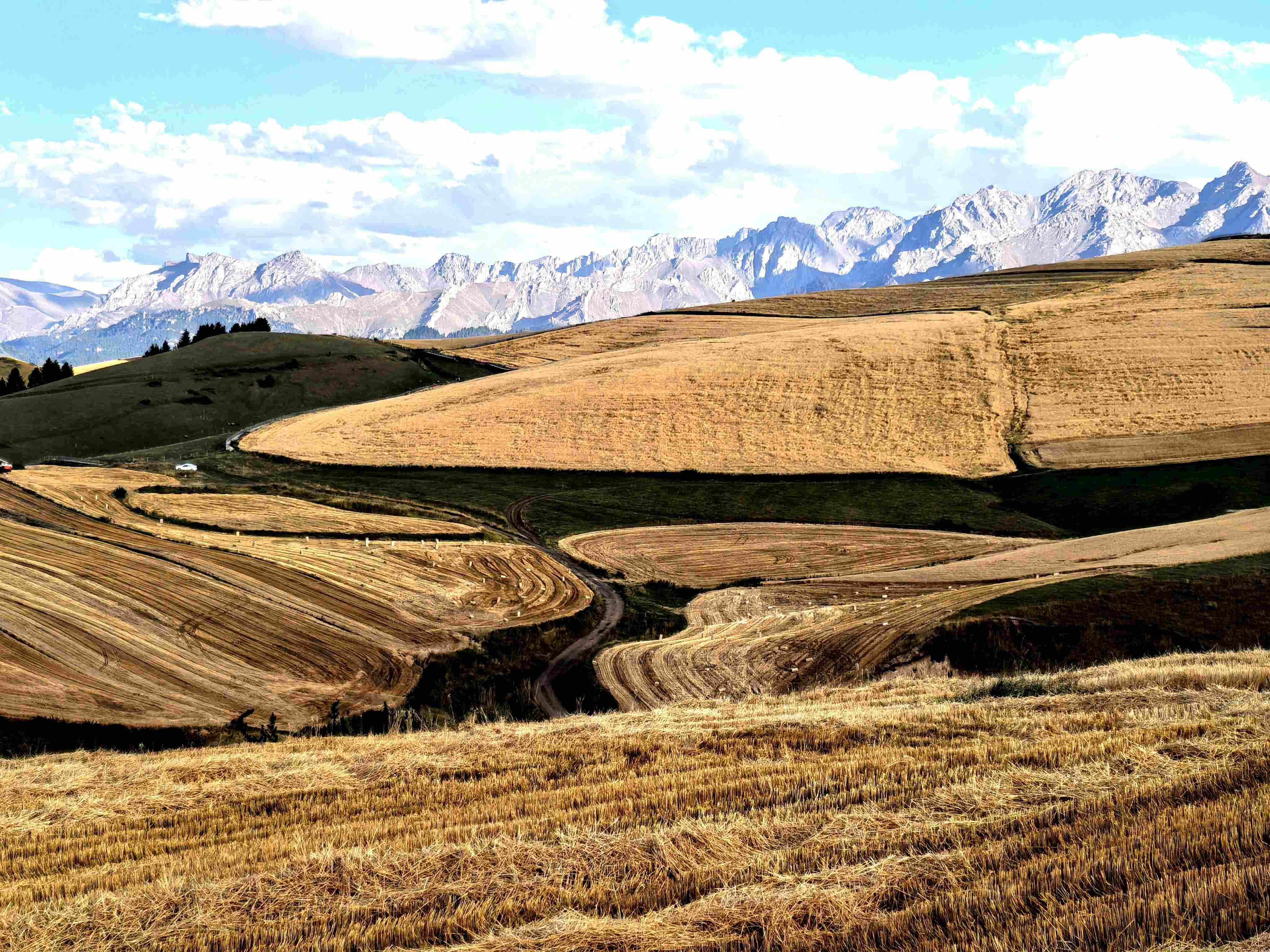 新一轮传言:陌陌出来卖的暗号到底是什么?如何快速识别和防范风险