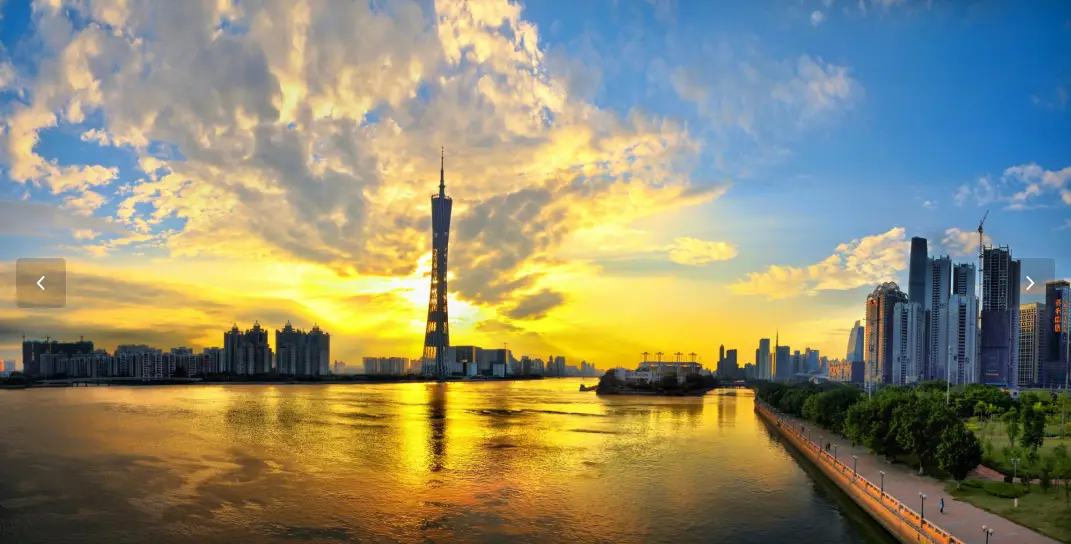 广佛新茶嫩茶wx探秘,从茶园到舌尖的春日盛宴,解密岭南茶文化新势力