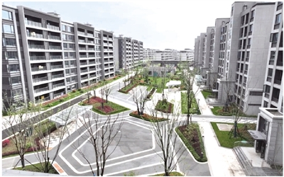 救援进行:杭州乔司小巷到底有什么魅力?本地人才懂的小众玩法推荐