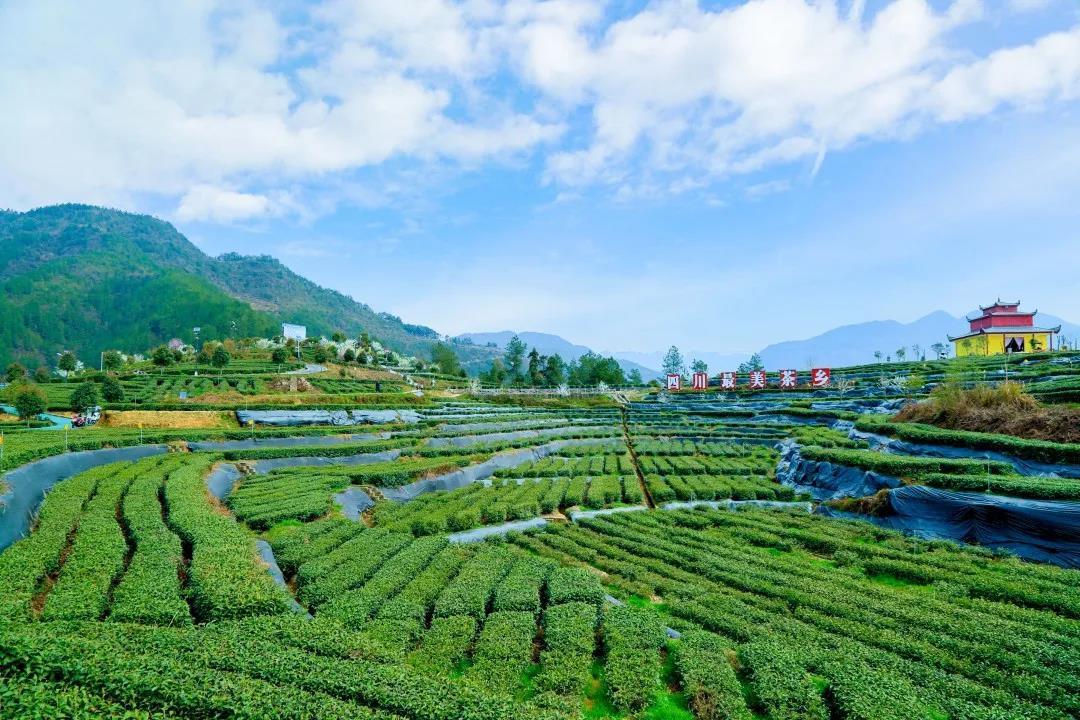 万源什么渠道能约到学生