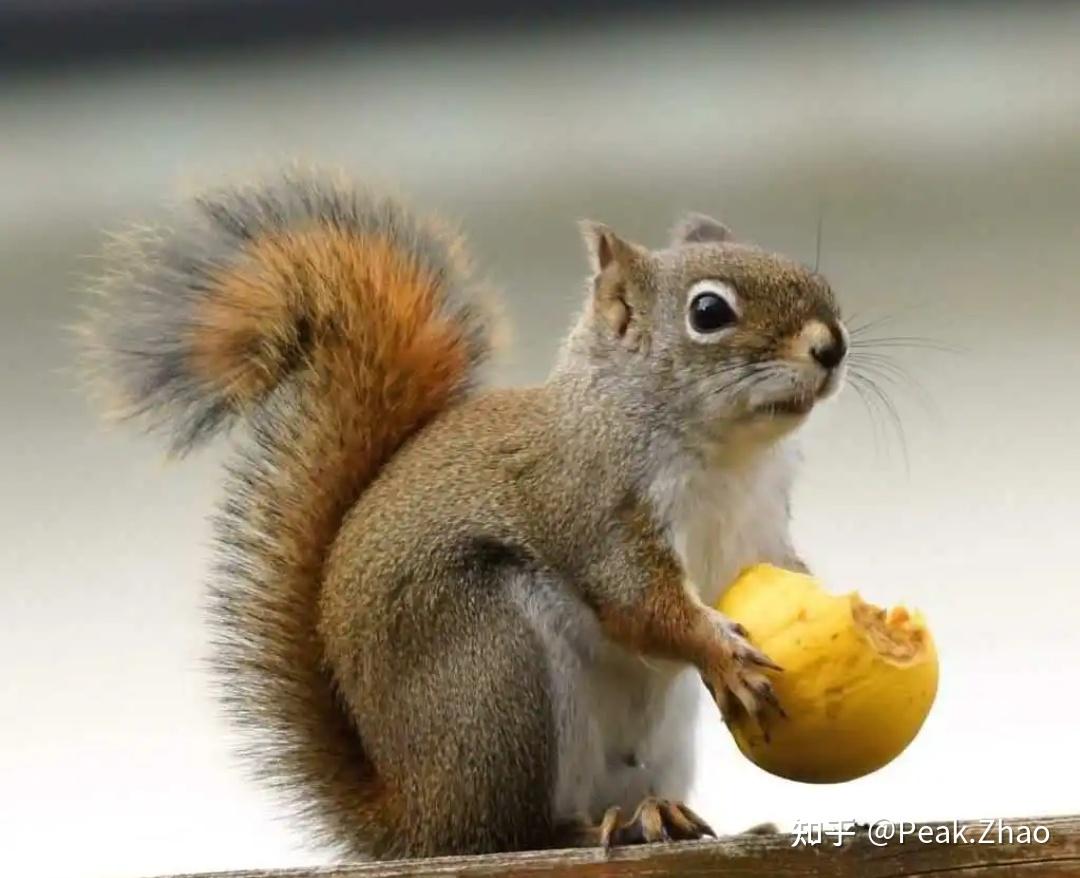 连云港大学城学生约茶