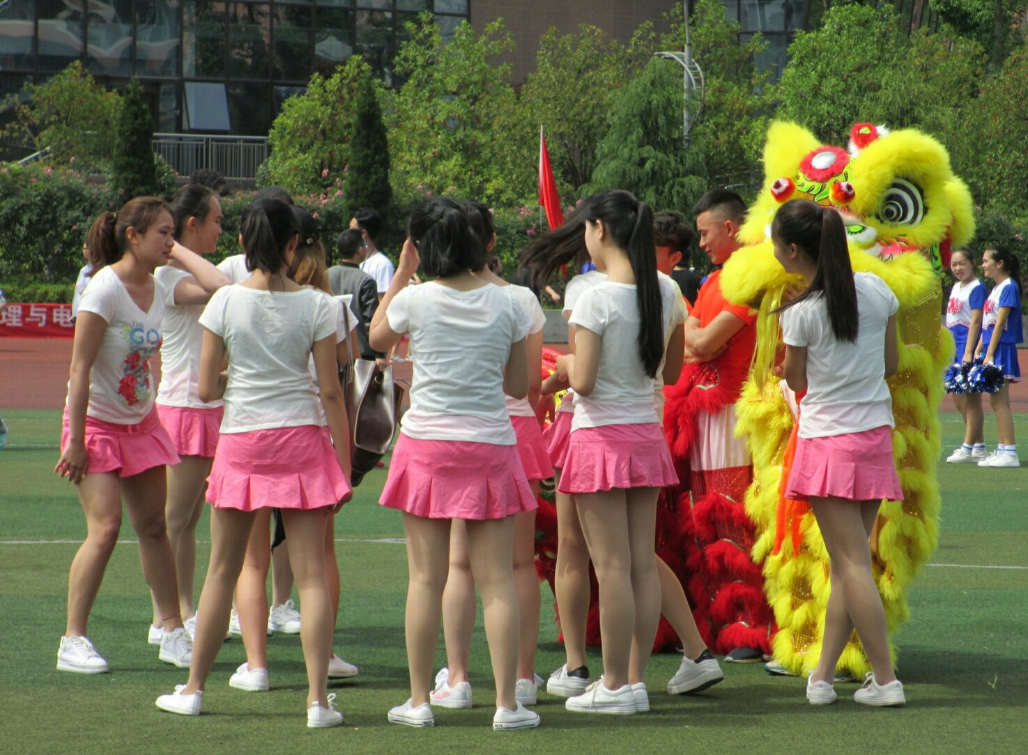 当事人讲述：校鸡从哪里找啊？靠谱渠道与避坑指南分享