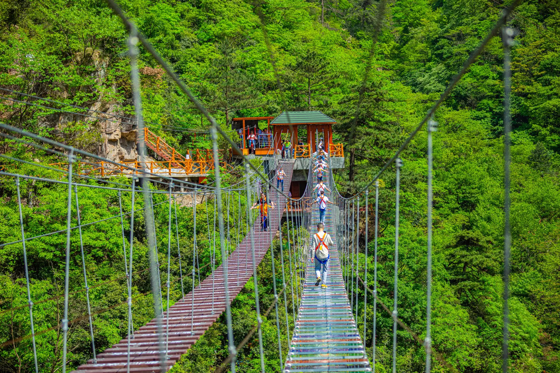 关于新政策：2025神木丽新作一览表里哪些作品最值得关注