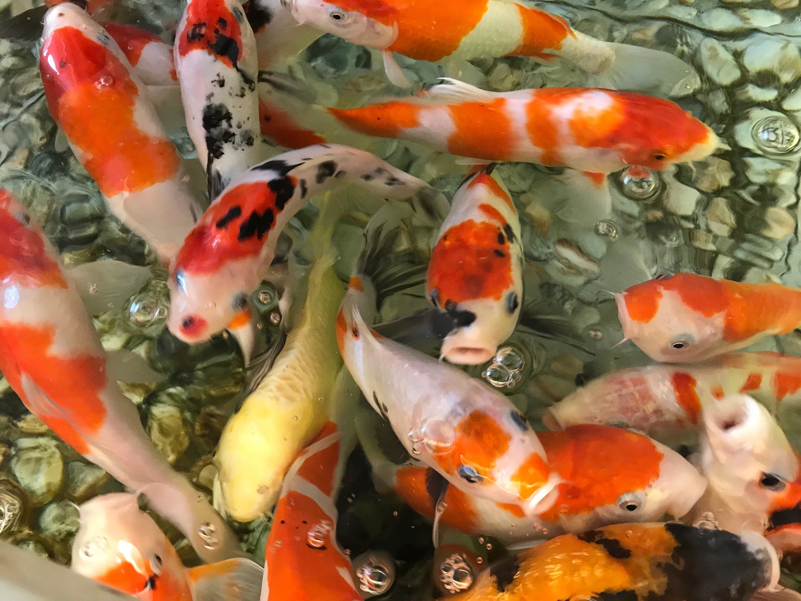 天河公园游玩指南：邂逅自然与人文的绝佳去处