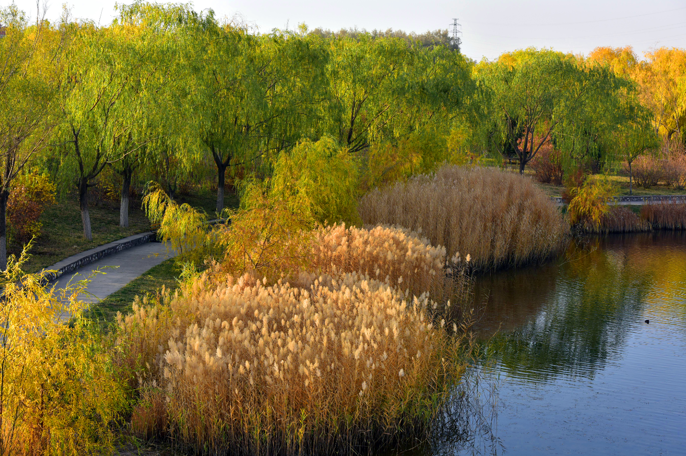 情况尚未明确:金昌汽车站附近的巷子藏着什么?探索老城区的隐秘角落