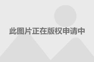 同城小姐服务可靠性分析及相关话题详细解读