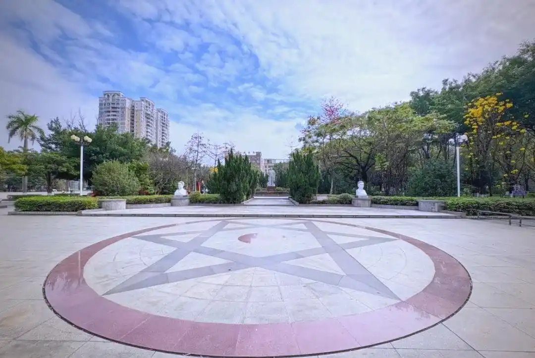 园洲100元快餐服务解析,性价比与品质的双重考验