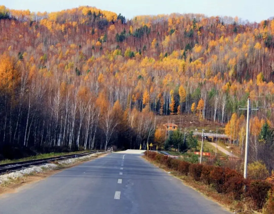 伊春大保健最多的地方