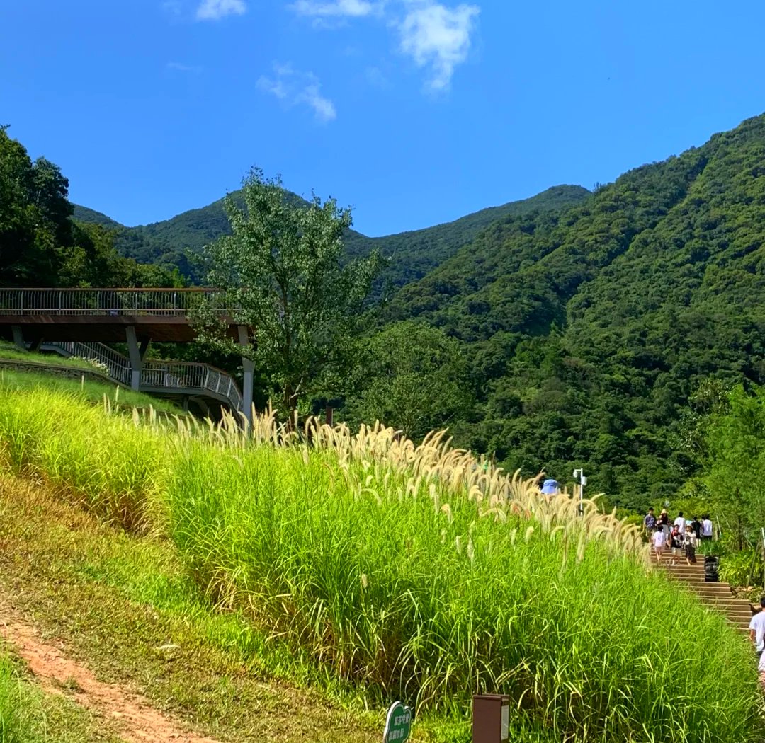 最新研究报告显示，东莞塘厦田心村性服务现状到底怎么样？真实情况令人破防