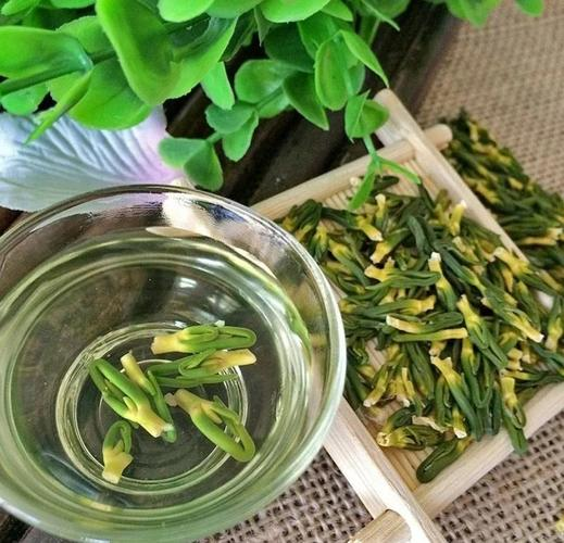 天津哪里能快速降火？十大清凉圣地实测省30%烦躁值