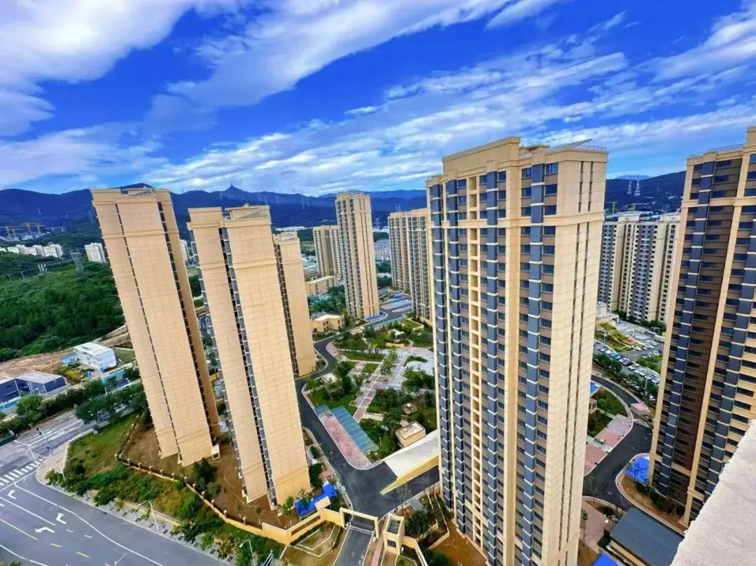 城市棚户区野鸡店的生存实录与观察思考