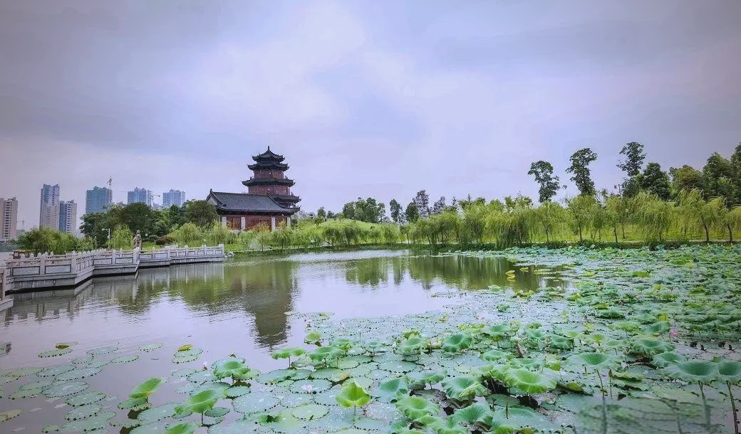 今日要闻全解析：抚州文昌桥姑娘位置与安全出行推荐