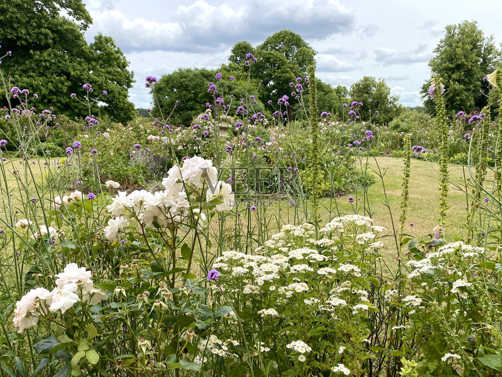 从入门到精通：游戏与技能的实用全攻略