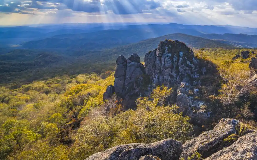 双鸭山怎么找喝茶联系方式 新鲜攻略来啦